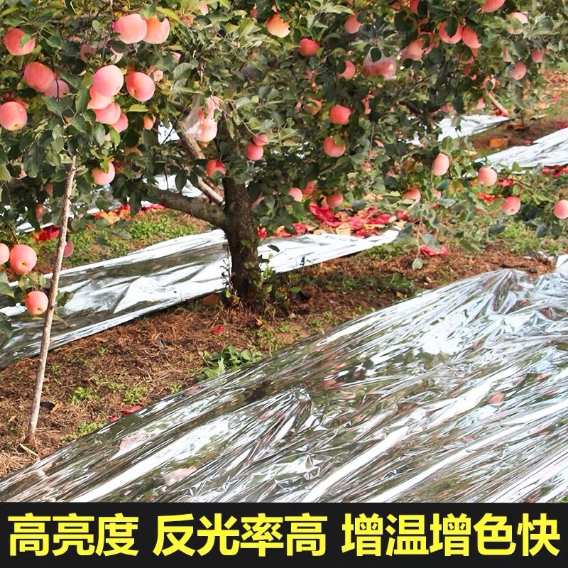 汉中市防草布果树反光膜 - 厂家